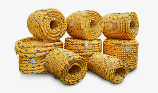 SOGA GOLDEN - Image 2